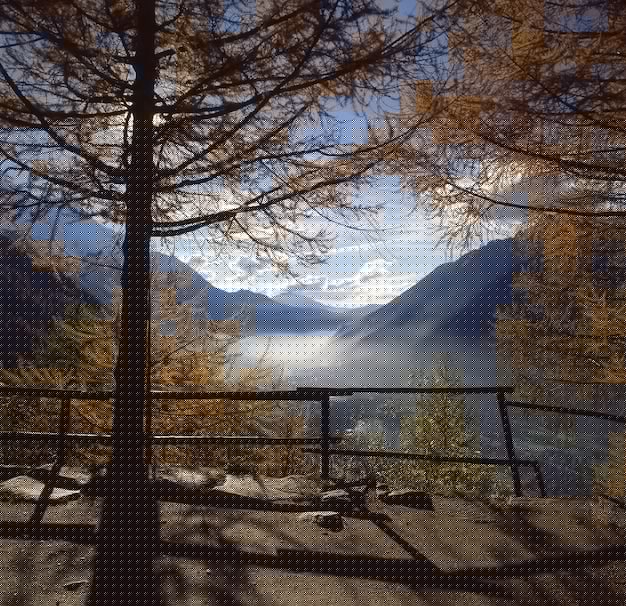 快连下载历史版本:2025年旧版安装包快速获取教程 一